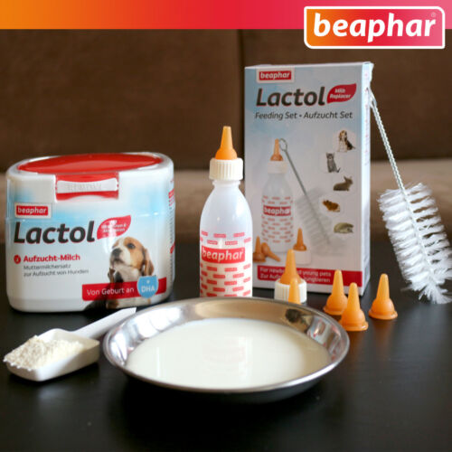 Beaphar-Set: Lactol Crianza Set (8-teilig) + 250G Auzucht-Milch para Perros - Picture 1 of 3
