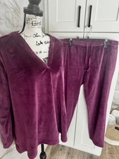 NWT Natori Velour Luxurious Top and Pants Large 2 Piece Set New Purple Warm