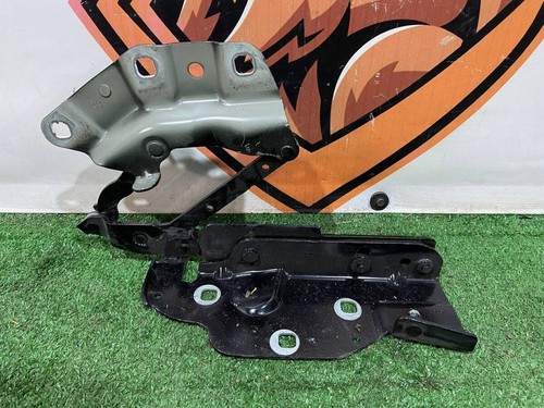 Jaguar I-Pace X590 (2018-) The hood loop is correct. OEM J9D316800AC