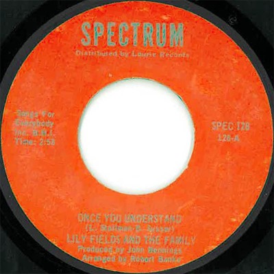 Lily Fields And The Family - Once You Understand (7'')