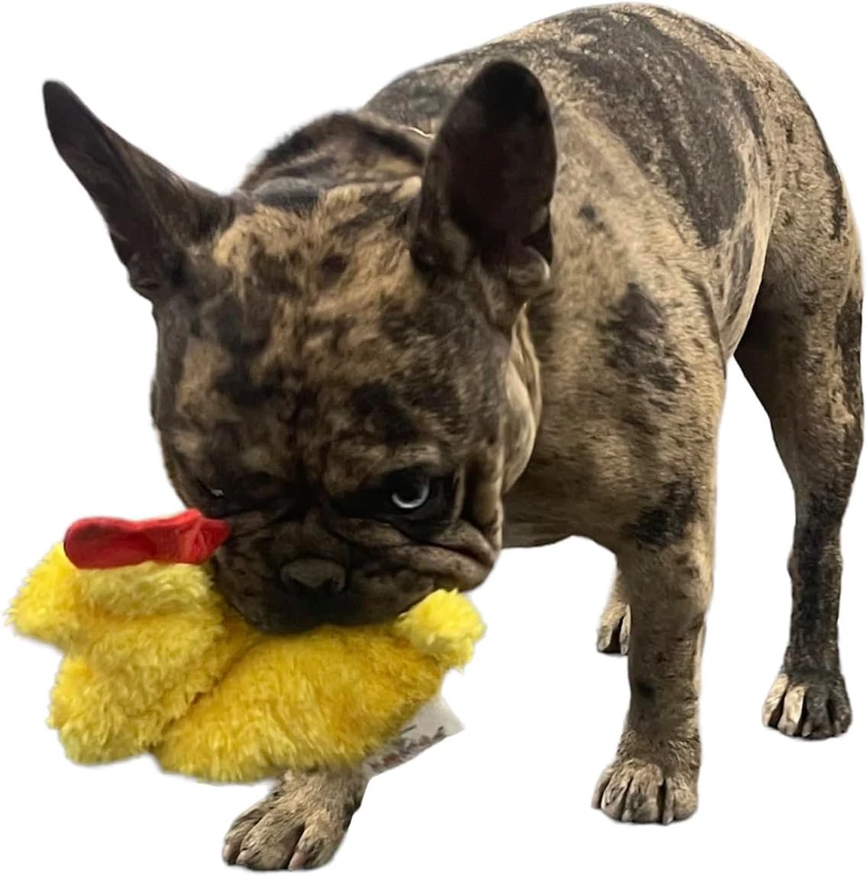 Chicken and Egg Crinkle Squeaker Pack Fun Durable Interactive Fetch Toys for Pup - Image 2 of 4