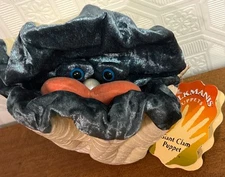 Folkmanis Giant Clam Hand Puppet Plush 7” New With Tags