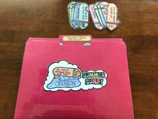 Summer Surf Fact Opinion 3-4 grades language arts file folder game
