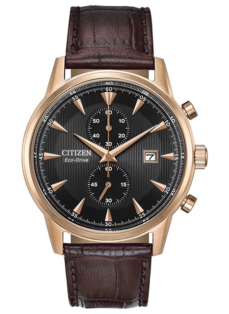 breed holden watch