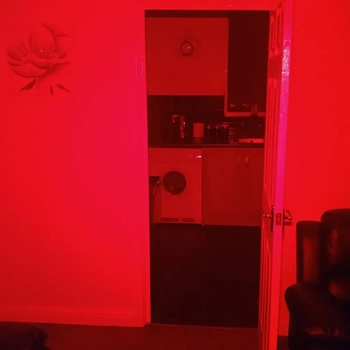 Red Light Ghost Hunting LED Paranormal Equipment Camera Flashlight Torch Video - Picture 9 of 24