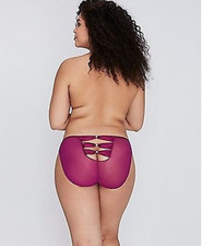 Lane Bryant Cacique Fuchsia Satin Front Bikini Panty w Mesh bowback 22/24 NWT