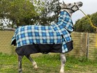 1200 D waterproof Horse Combo Rug 300g fill Winter Rug, Assorted colors
