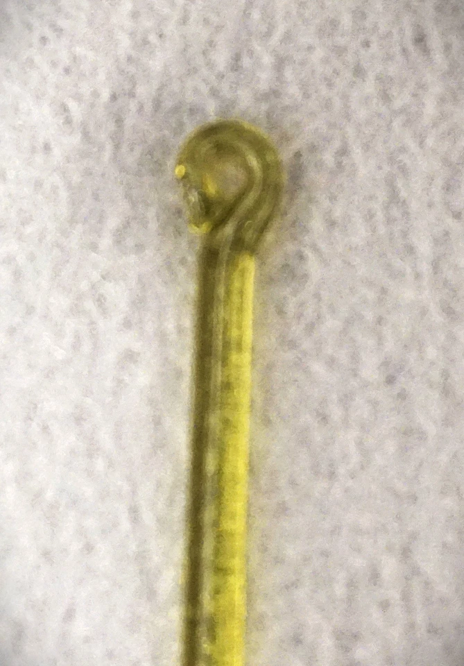 Set Of 50 Vintage Murano Amber/Green Teardrop Chandelier Prisms / Ornaments 5.5" - Image 4 of 4