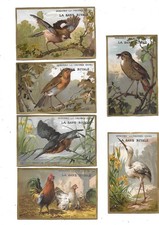 6 anciens chromos pub. chicorée La Sans Rivale H. 6,5  cms  oiseaux bord or