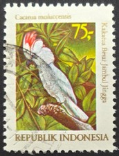 Indonesia 1981 Salmon-crested Cockatoo Cacatua moluccensis 75r Used Bird Stamp