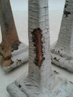 Bild 9 von 11