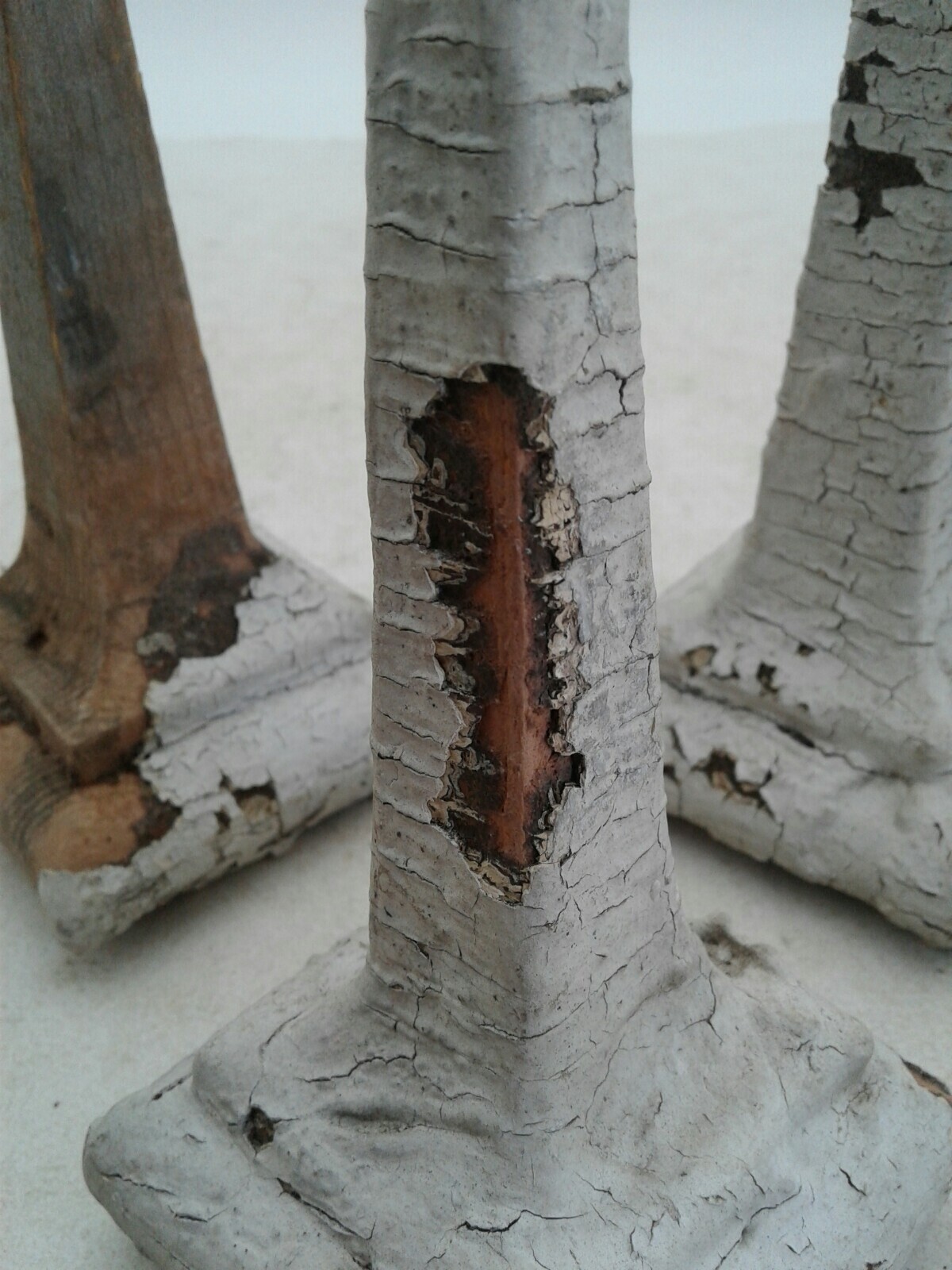 Bild 9 von 11