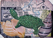 ACEO Mixed Media Collage Art – Turtle Paul - OOAK Original Signed
