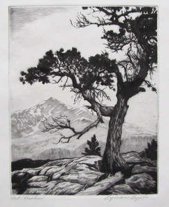 Lyman Byxbe Vtg. Original Etching - "Mt. Meeker" Colorado Rockies - Pristine