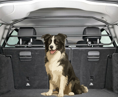 AUTO TRENNGITTER HUNDETRANSPORT FÜR DACIA SANDERO STEPWAY 2013-2021 SCHWARZ