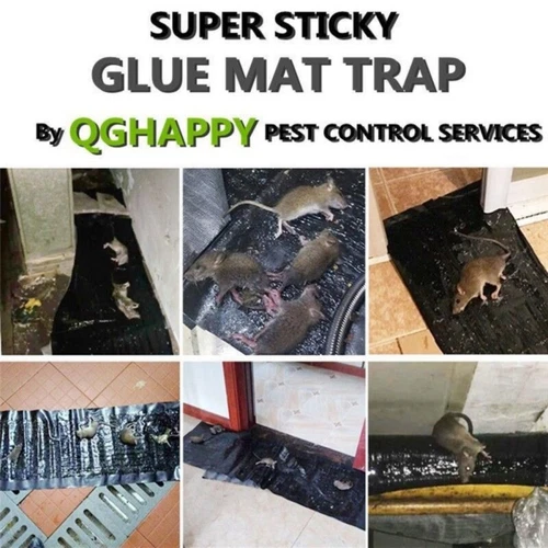 3x Large Size Catcher Rat Glue Rodent Board Mice Indoor Super Sticky Mouse Trap - Picture 10 of 22
