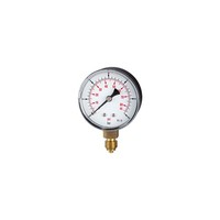 Riegler Standardmano »Pressure Line« G 1/4 Unten 0-4,0 Bar/60 Psi Ã˜ 63