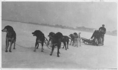 Italian colonel explorer Umberto Nobile making an excursion dog sl- Old Photo