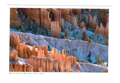 AK Ansichtskarte Bryce Canyon National Park / Utah USA
