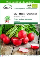 SAFLAX - BIO - Radis - Cherry bell - 100 graines - Avec substrat - Raphanus