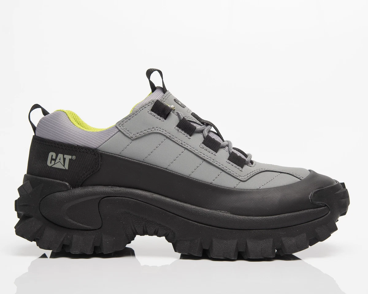 Cat intruder best sale 1