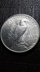 1925  Peace Silver Dollar    SM-71    (I don't collect them--Good Luck)