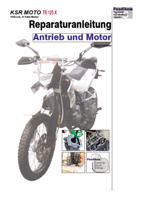 Pandikow Buch Reparaturanleitung RIS, SFM (SACHS) ZX125, Antrieb Und