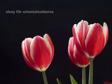 Chinese 100% real natural silk thread,su hand embroidery kits:flower 