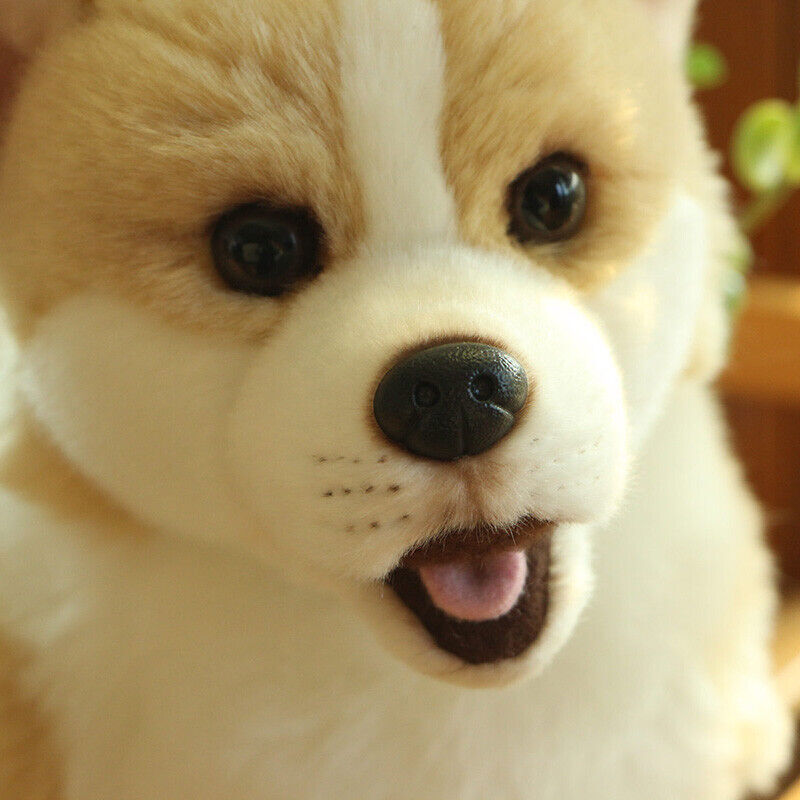 Picture 9 of 10