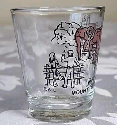 Mount Rushmore National Park Memorial Souvenir Schnapsglas hinter Mount Rushmore - Bild 2 von 7