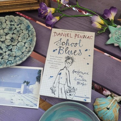 School Blues Daniel Pennac Französisch Buch Maclehose Quercus