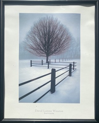 David Lorenz Winston Solitude Framed Winter Tree Snow Landscape Print 16x20