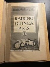 1921 USDA Raising Guinea Pigs Farmers Bulletin 525 Homestead Farming Guide NC Ag