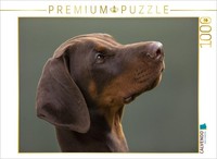 Calvendo Puzzle A Portrait Of The Doberman | 1000 Pieces, Finished Size 25.2 × 1