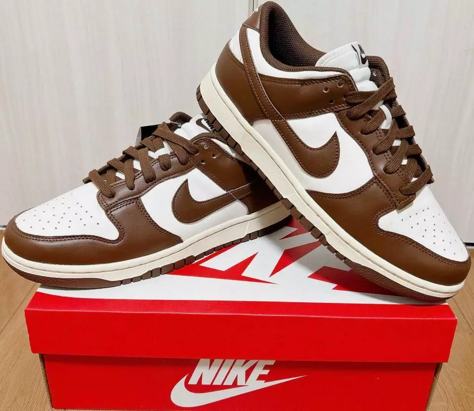 Nike WMNS Dunk Low Brown Sail DD1503-124 US 6- 12 Women