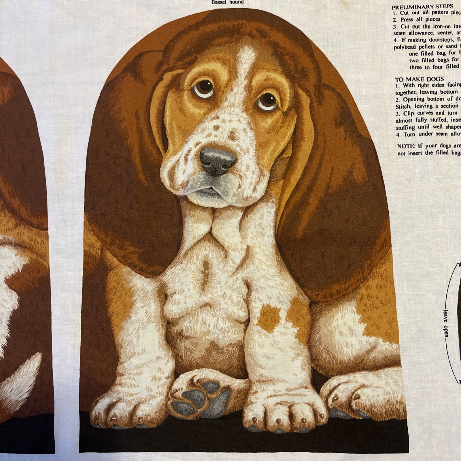 Can Basset Hounds Do Stairs