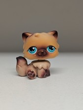 Littlest Pet Shop Persian Cat Brown 22 Aqua Eyes LPS Hasbro