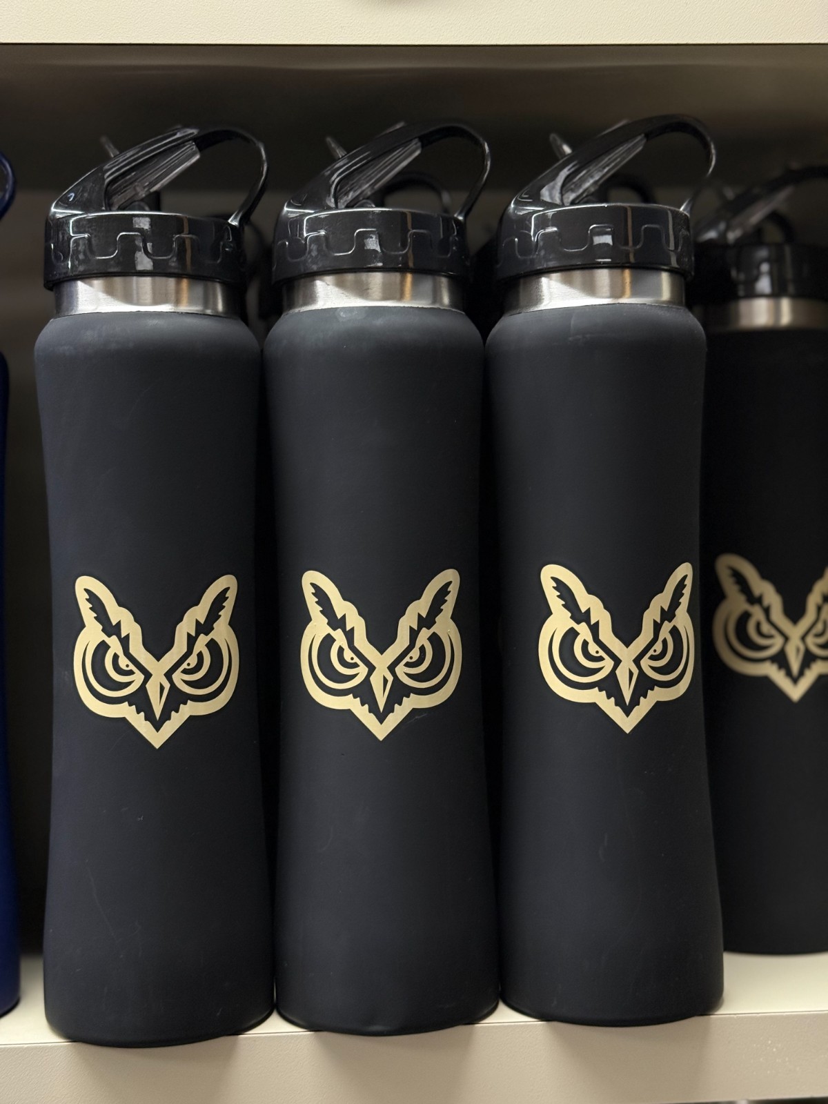 Owl Head Black Water Bottle