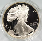 1994 S Proof American Silver Eagle !!