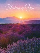 Leanin Tree Sympathy Greeting Card ~  "With a gentle wish for peace and comfort"