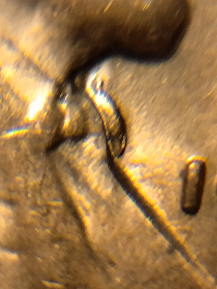 1956 P Lincoln Wheat Cent Retained Die Breaks - Image 3 of 4
