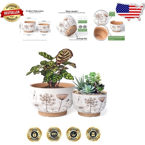 Elegant 8 Inch & 6 Inch Ceramic Flower Pots with Drainage Holes for Succulents