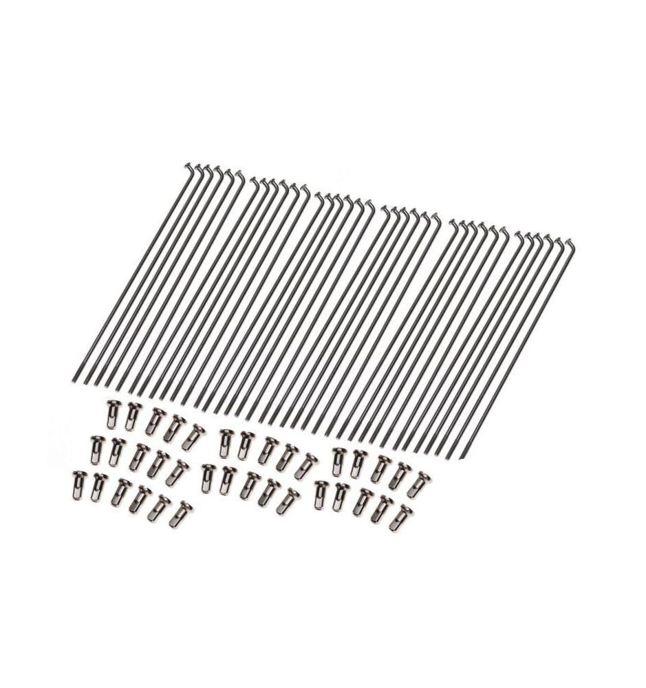 Jawa 50 rayons pour moto ancienne idéal pour les balades de week-end