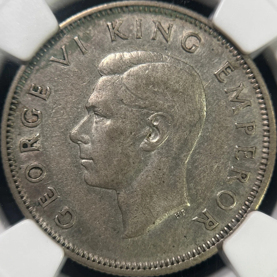 NEW ZEALAND. 1937, Florin, Silver - NGC XF45 - Kiwi Bird - Image 3 of 4