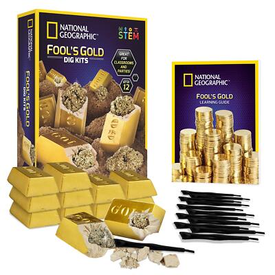 Fools Gold Dig Kit   12 Gold Bar Dig Bricks With 23 Pyrite Specimens Inside Par