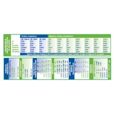 Poster Pals Spanish Vocabulary Verb Conjugation Reference Bookmarks, 64 Pack