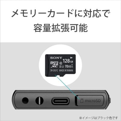 Sony Walkman 64GB Aseries NW-A107 Black : High resolution
