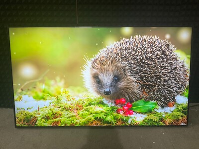 LG 75'' Commercial Signage Display 4K 75UL3J-E   ️  ️   NEW OPEN BOX
