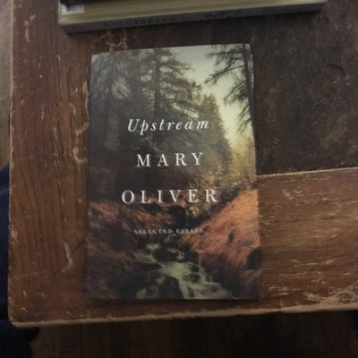 Upstream : Selected Essays by Mary Oliver (2016, Hardcover)
