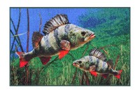 Delphin Matte 3D - Barschmotiv 60X40Cm